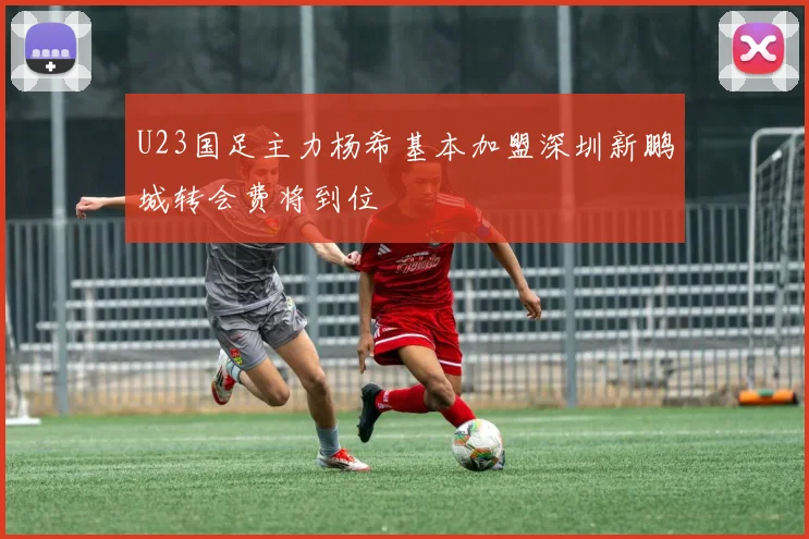 U23国足主力杨希基本加盟深圳新鹏城转会费将到位