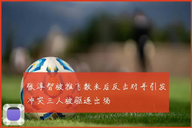 张淳智被推飞数米后反击对手引发冲突三人被驱逐出场